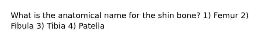 What is the anatomical name for the shin bone? 1) Femur 2) Fibula 3) Tibia 4) Patella