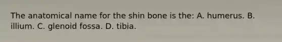 The anatomical name for the shin bone is the: A. humerus. B. illium. C. glenoid fossa. D. tibia.