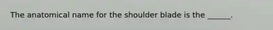 The anatomical name for the shoulder blade is the ______.