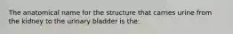 The anatomical name for the structure that carries urine from the kidney to the urinary bladder is the: