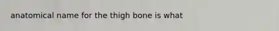 anatomical name for the thigh bone is what