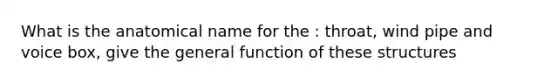 What is the anatomical name for the : throat, wind pipe and voice box, give the general function of these structures