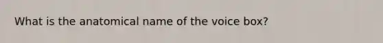 What is the anatomical name of the voice box?