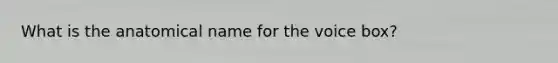 What is the anatomical name for the voice box?