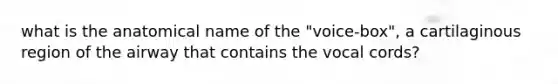 what is the anatomical name of the "voice-box", a cartilaginous region of the airway that contains the vocal cords?