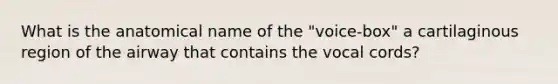 What is the anatomical name of the "voice-box" a cartilaginous region of the airway that contains the vocal cords?