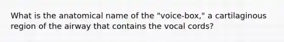 What is the anatomical name of the "voice-box," a cartilaginous region of the airway that contains the vocal cords?