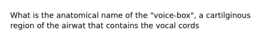 What is the anatomical name of the "voice-box", a cartilginous region of the airwat that contains the vocal cords