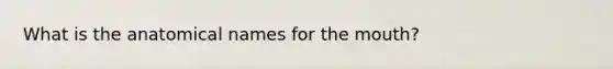 What is the anatomical names for the mouth?