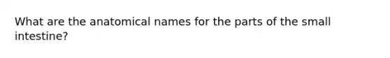 What are the anatomical names for the parts of the small intestine?