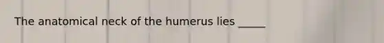 The anatomical neck of the humerus lies _____