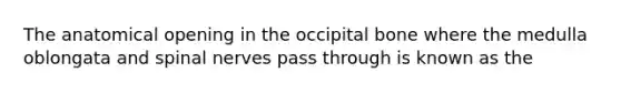 The anatomical opening in the occipital bone where the medulla oblongata and spinal nerves pass through is known as the