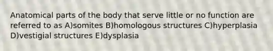 Anatomical parts of the body that serve little or no function are referred to as A)somites B)homologous structures C)hyperplasia D)vestigial structures E)dysplasia