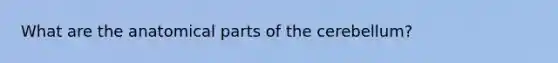 What are the anatomical parts of the cerebellum?