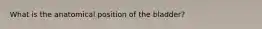 What is the anatomical position of the bladder?