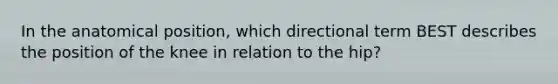 In the anatomical position, which directional term BEST describes the position of the knee in relation to the hip?