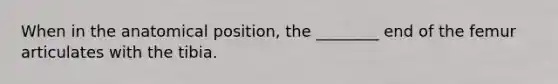 When in the anatomical position, the ________ end of the femur articulates with the tibia.