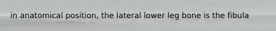 in anatomical position, the lateral lower leg bone is the fibula