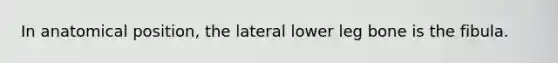 In anatomical position, the lateral lower leg bone is the fibula.