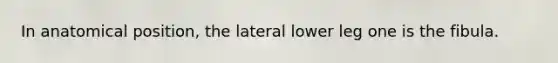 In anatomical position, the lateral lower leg one is the fibula.