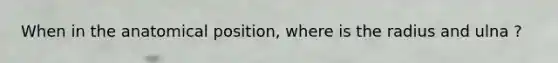 When in the anatomical position, where is the radius and ulna ?