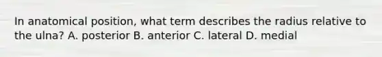 In anatomical position, what term describes the radius relative to the ulna? A. posterior B. anterior C. lateral D. medial