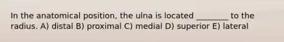 In the anatomical position, the ulna is located ________ to the radius. A) distal B) proximal C) medial D) superior E) lateral