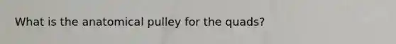 What is the anatomical pulley for the quads?