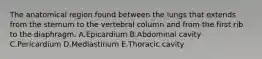 The anatomical region found between the lungs that extends from the sternum to the vertebral column and from the first rib to the diaphragm. A.Epicardium B.Abdominal cavity C.Pericardium D.Mediastinum E.Thoracic cavity