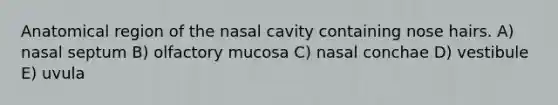 Anatomical region of the nasal cavity containing nose hairs. A) nasal septum B) olfactory mucosa C) nasal conchae D) vestibule E) uvula