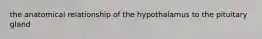 the anatomical relationship of the hypothalamus to the pituitary gland