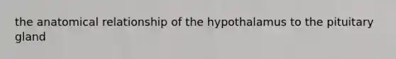 the anatomical relationship of the hypothalamus to the pituitary gland