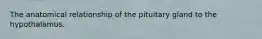 The anatomical relationship of the pituitary gland to the hypothalamus.