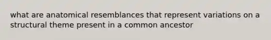 what are anatomical resemblances that represent variations on a structural theme present in a common ancestor