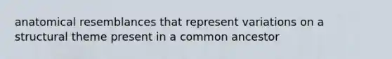 anatomical resemblances that represent variations on a structural theme present in a common ancestor