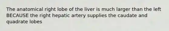 The anatomical right lobe of the liver is much larger than the left BECAUSE the right hepatic artery supplies the caudate and quadrate lobes