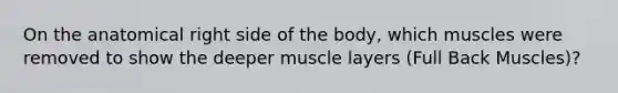 On the anatomical right side of the body, which muscles were removed to show the deeper muscle layers (Full Back Muscles)?