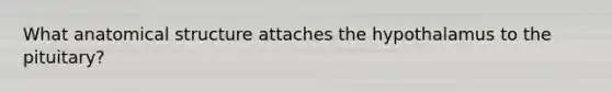 What anatomical structure attaches the hypothalamus to the pituitary?