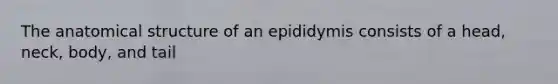 The anatomical structure of an epididymis consists of a head, neck, body, and tail