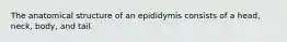 The anatomical structure of an epididymis consists of a head, neck, body, and tail.