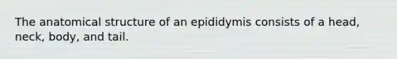 The anatomical structure of an epididymis consists of a head, neck, body, and tail.