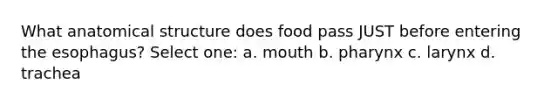 What anatomical structure does food pass JUST before entering the esophagus? Select one: a. mouth b. pharynx c. larynx d. trachea