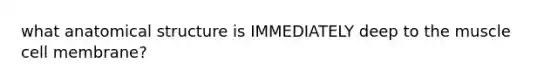 what anatomical structure is IMMEDIATELY deep to the muscle cell membrane?