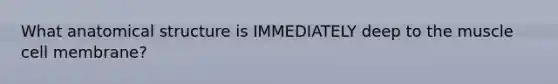 What anatomical structure is IMMEDIATELY deep to the muscle cell membrane?