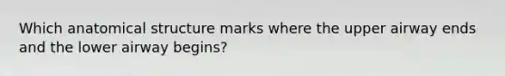 Which anatomical structure marks where the upper airway ends and the lower airway begins?