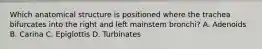 Which anatomical structure is positioned where the trachea bifurcates into the right and left mainstem bronchi? A. Adenoids B. Carina C. Epiglottis D. Turbinates