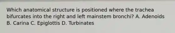 Which anatomical structure is positioned where the trachea bifurcates into the right and left mainstem bronchi? A. Adenoids B. Carina C. Epiglottis D. Turbinates