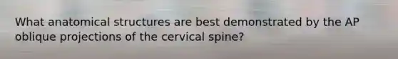 What anatomical structures are best demonstrated by the AP oblique projections of the cervical spine?