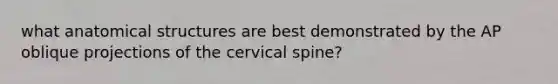 what anatomical structures are best demonstrated by the AP oblique projections of the cervical spine?