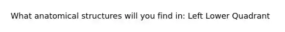 What anatomical structures will you find in: Left Lower Quadrant